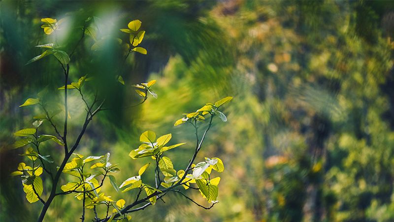 创意营销:《盗梦空间》二维码的病毒营销
